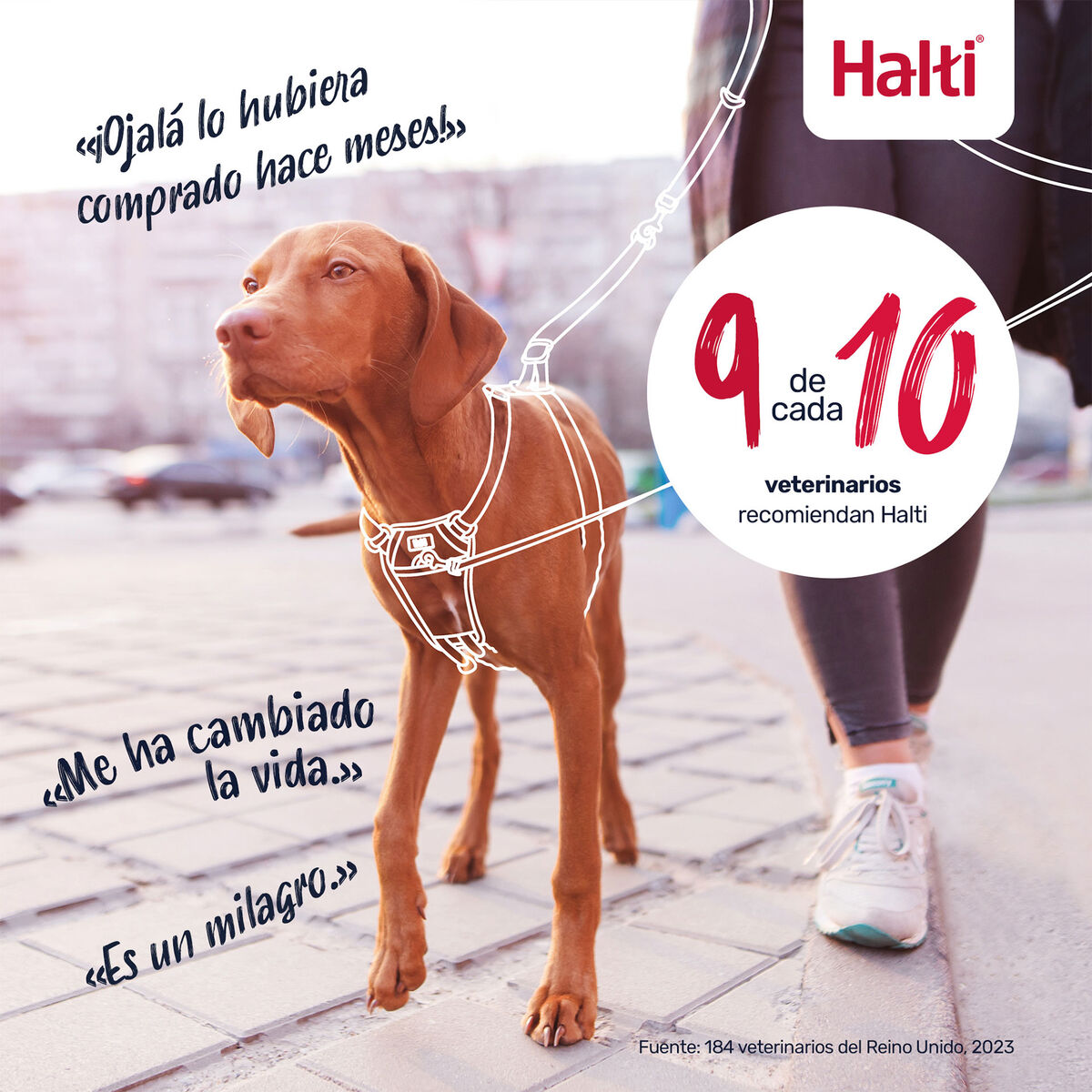 V3HEF383AD75CE7B3871F723C3B8571068ER7523518P10