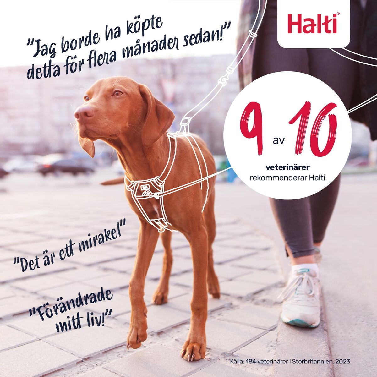 V3HA55370CAB94B4E1802B95B2AC53871B6R7523768P6