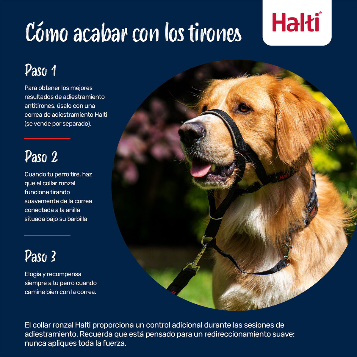 V3HE95582880B69B637EB14DE5CEDBF12B5R7523947P3