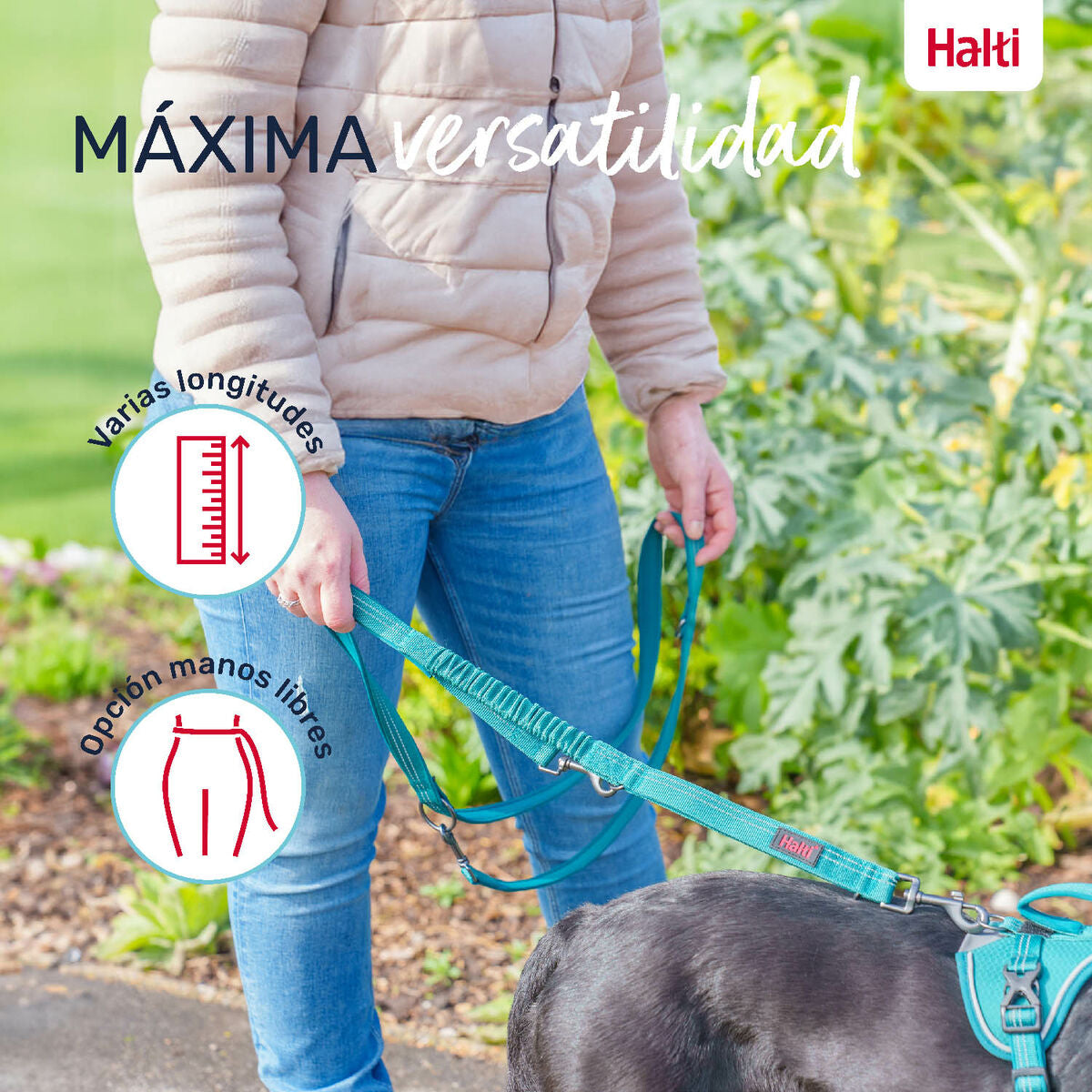 V5H4A8228F44A0860F78D0582F4FF668A2FR5328590P4