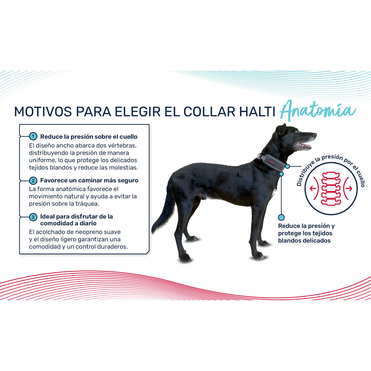 V2HACDD05279D0F51C8DD7F46F936429AFCR7722871P1