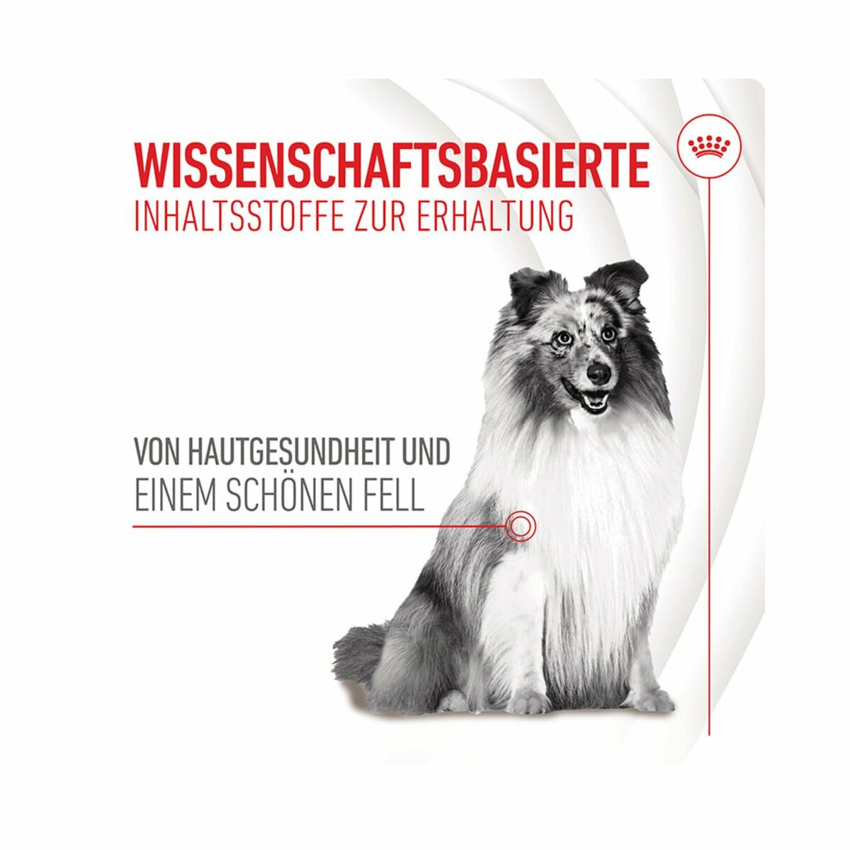 V5H33202975C2B25EB4DDF66A2DFF4892CFR6646633P7