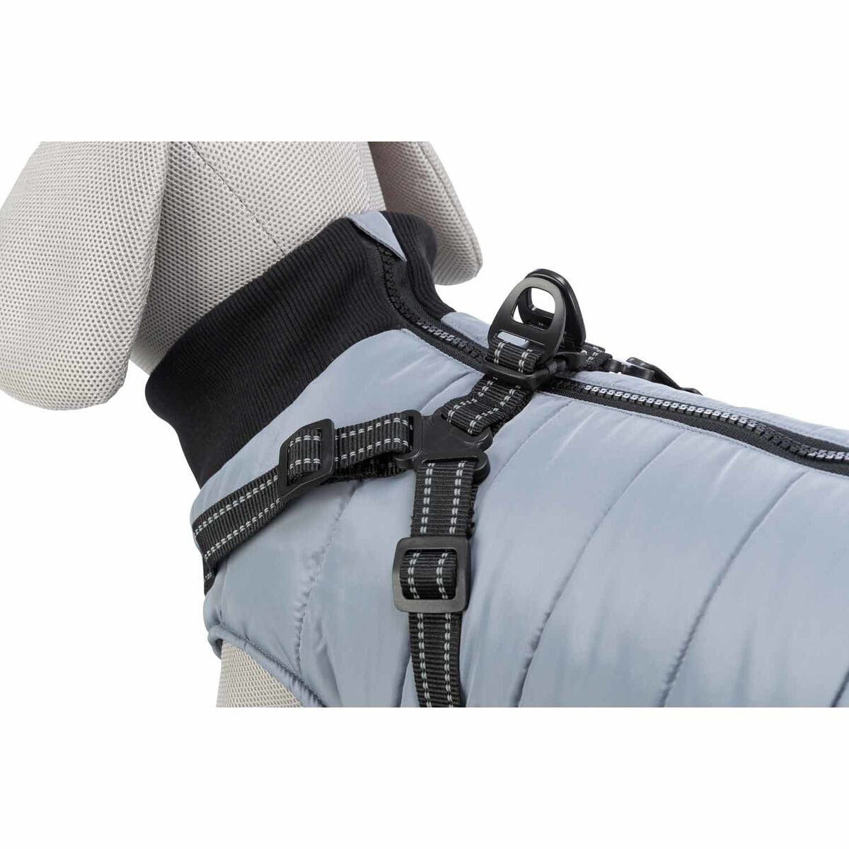 V9H39DBCFBB1AD1DDC78F23874344C32BA3R6605074P10