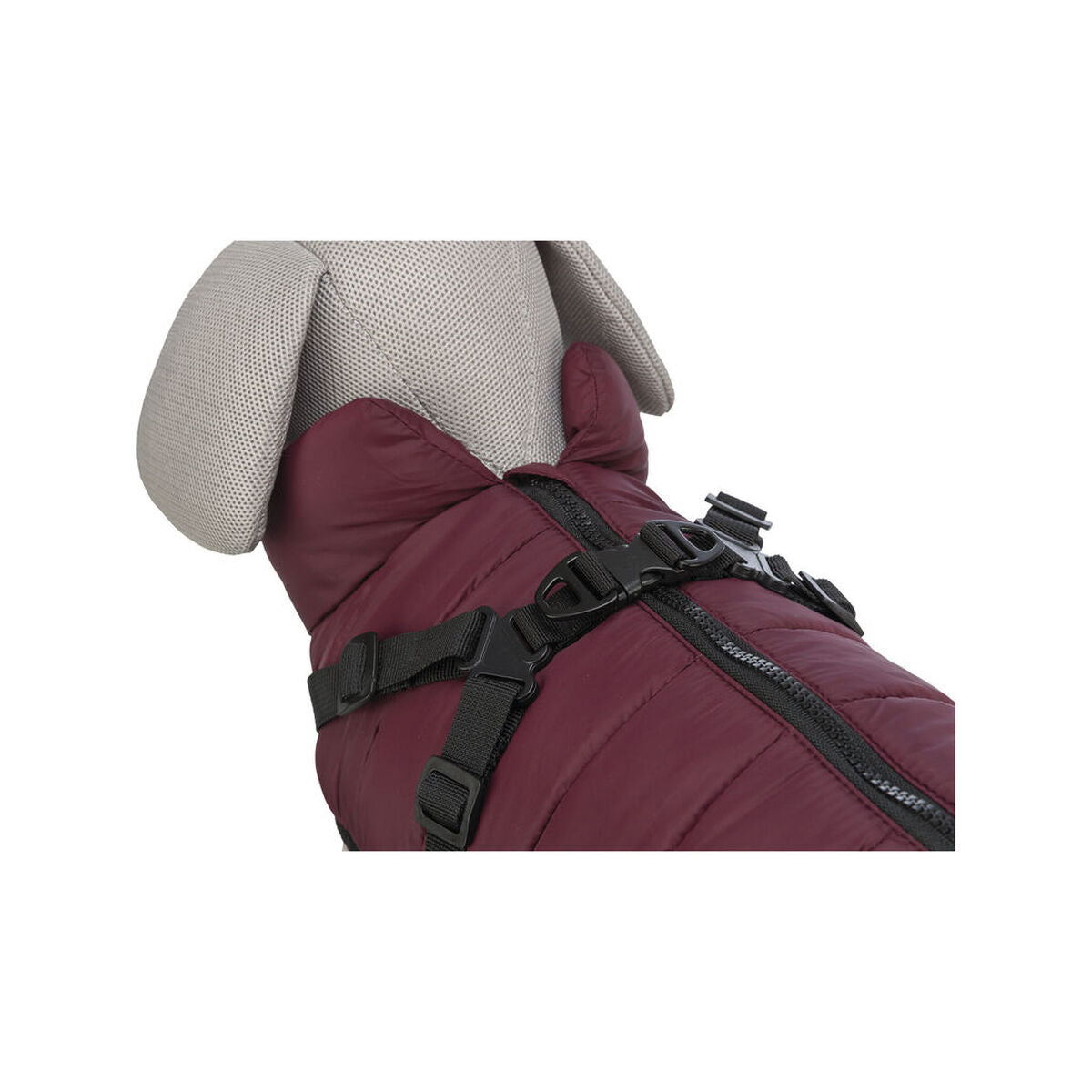 V7HDCFA85A8039CC9A58AB6CF48576DA468R7462901P7