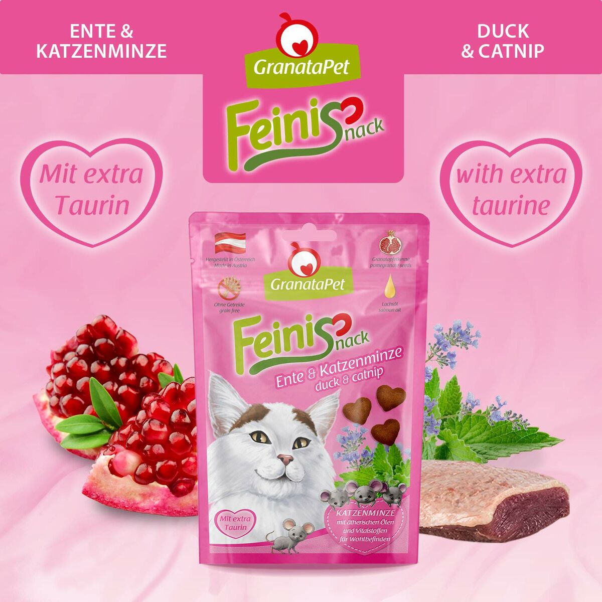 V5H4E81EF065C3B43035C61E8CF544F8D6FR6448466P5