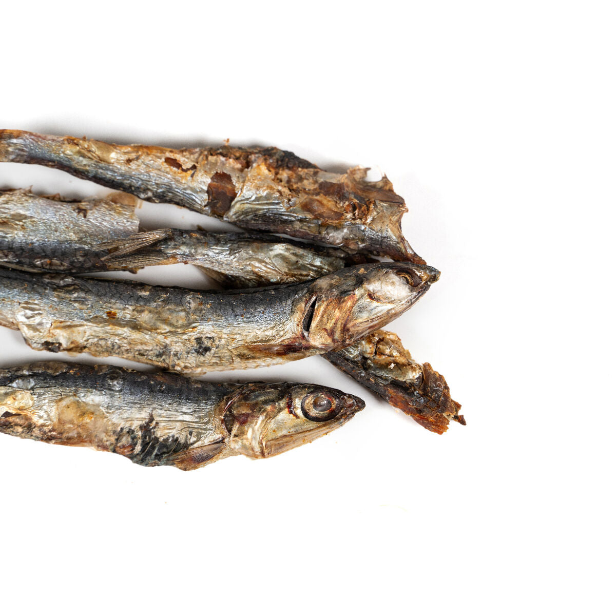 V4H00BD90004CA1ACB8B3E5341372CCF9C5R5293013P5