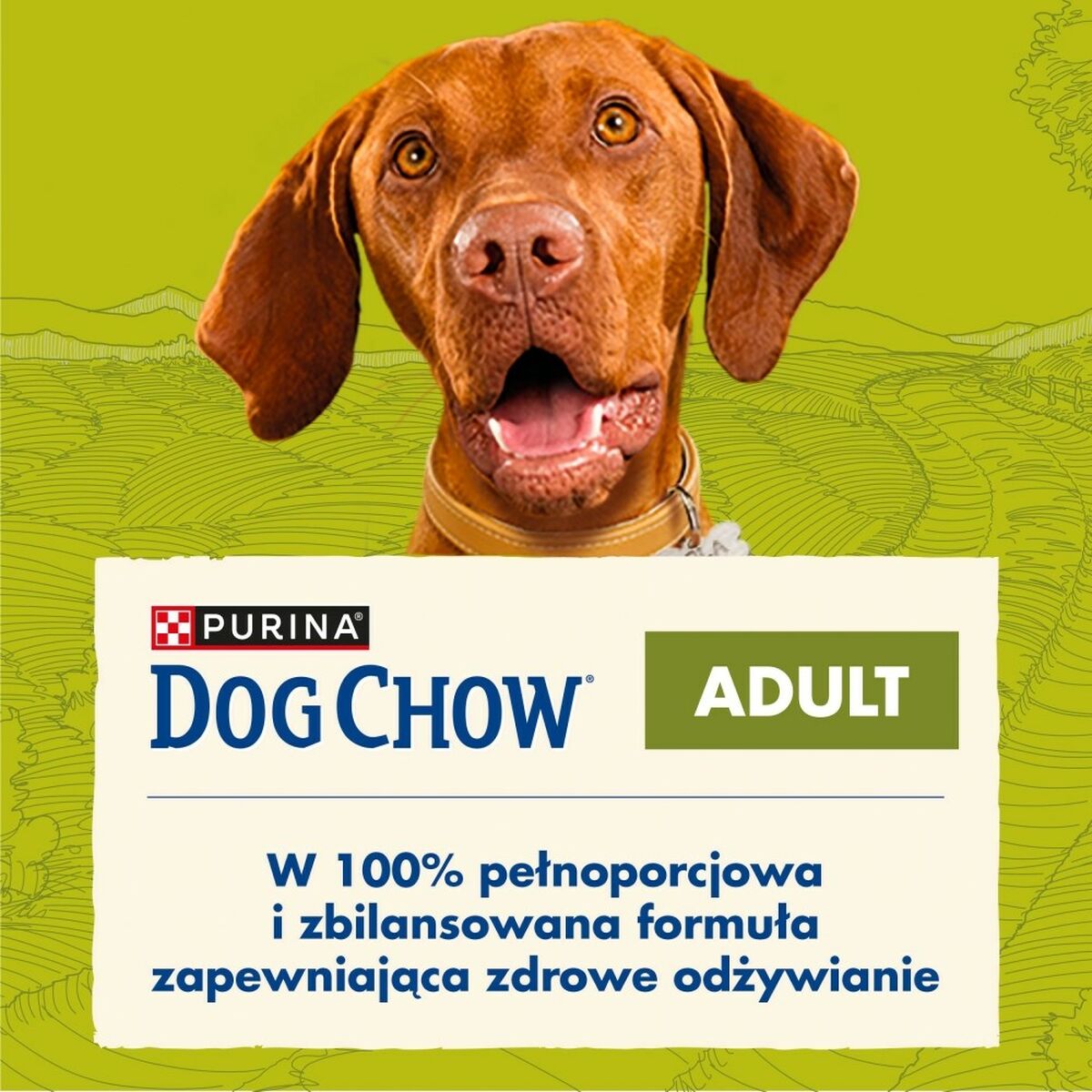 V6H1A89374C1C5929892354D71C779CF1F1R5061159P2