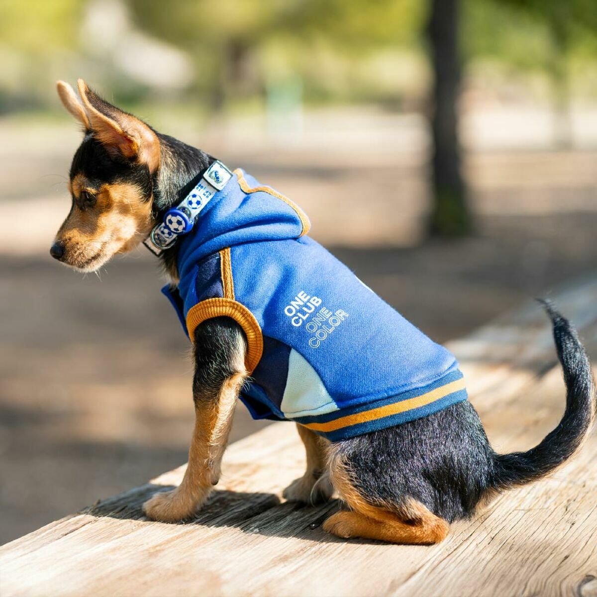 V3HD2371B20A5246DB5EC18057149AA2523R6351881P5