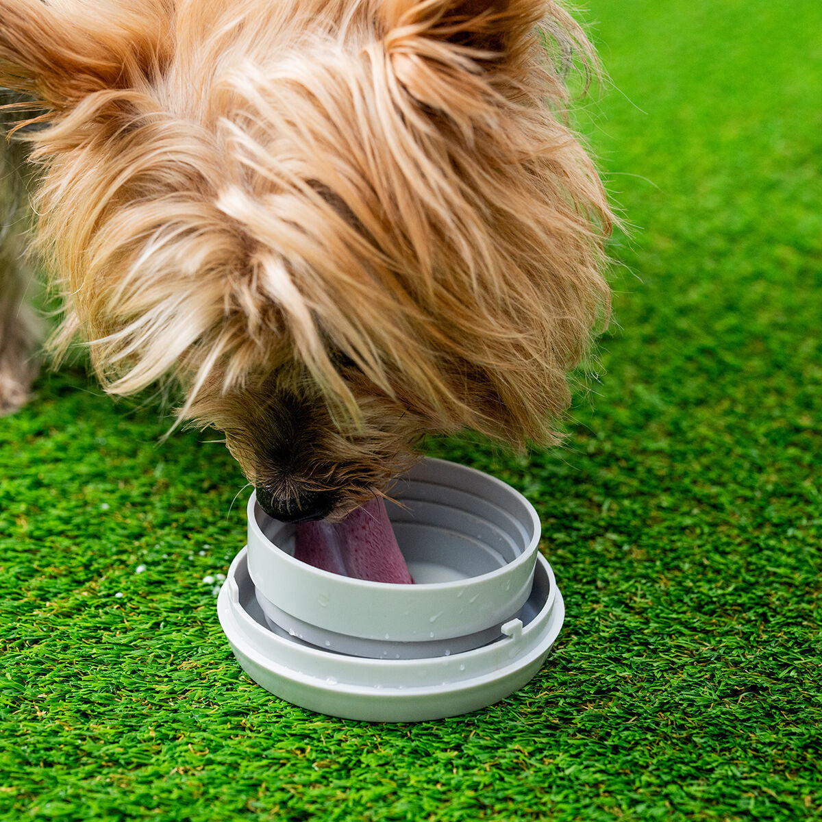 V7H428DC5DAEF0E7D718BCA4C197362E1AER5279949P7